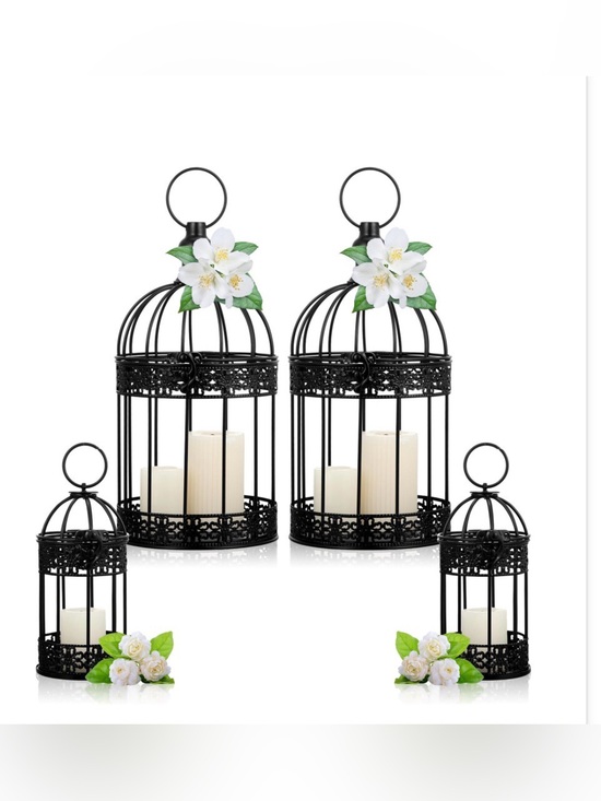Biotueao Other - Sliner 4 Pcs Decorative Bird Cages